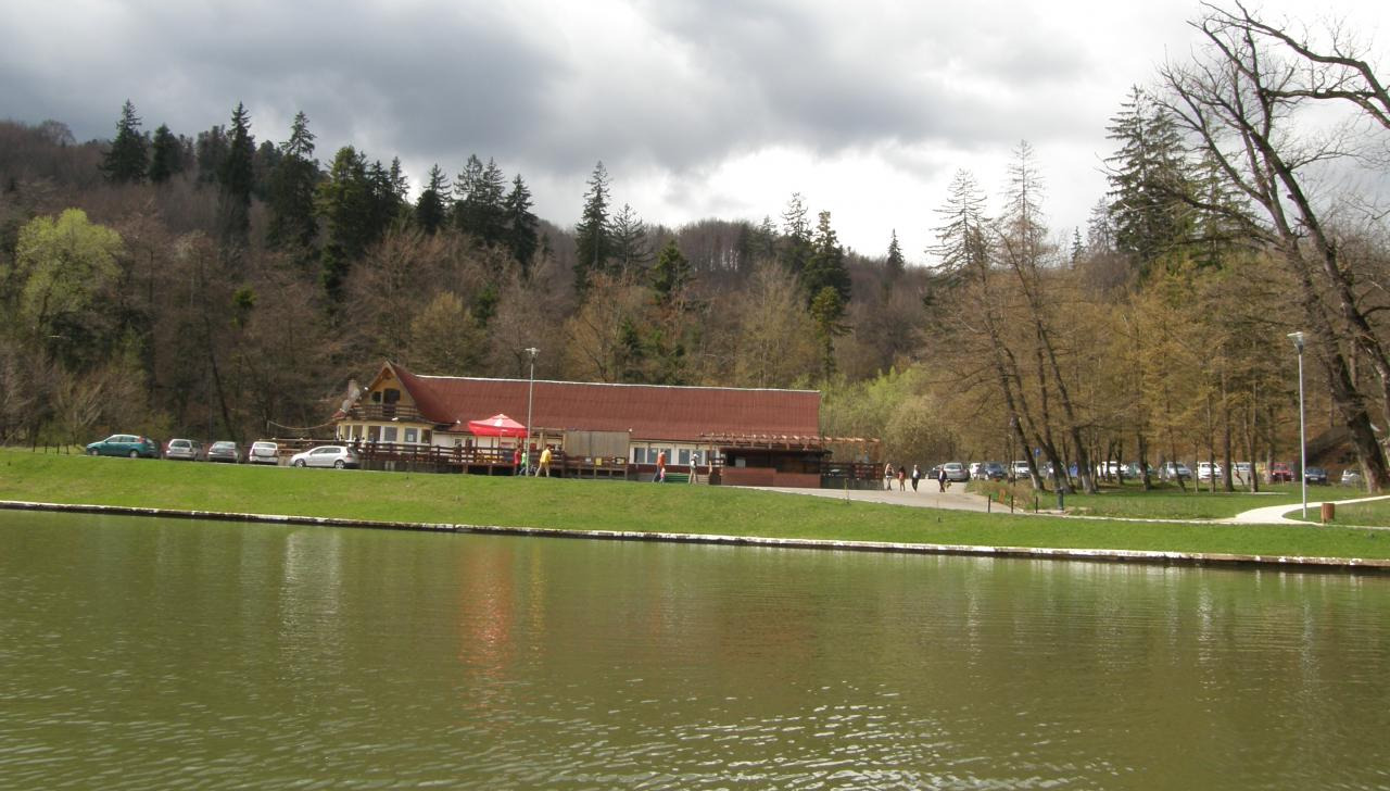 Mititeii sfaraie la lac 